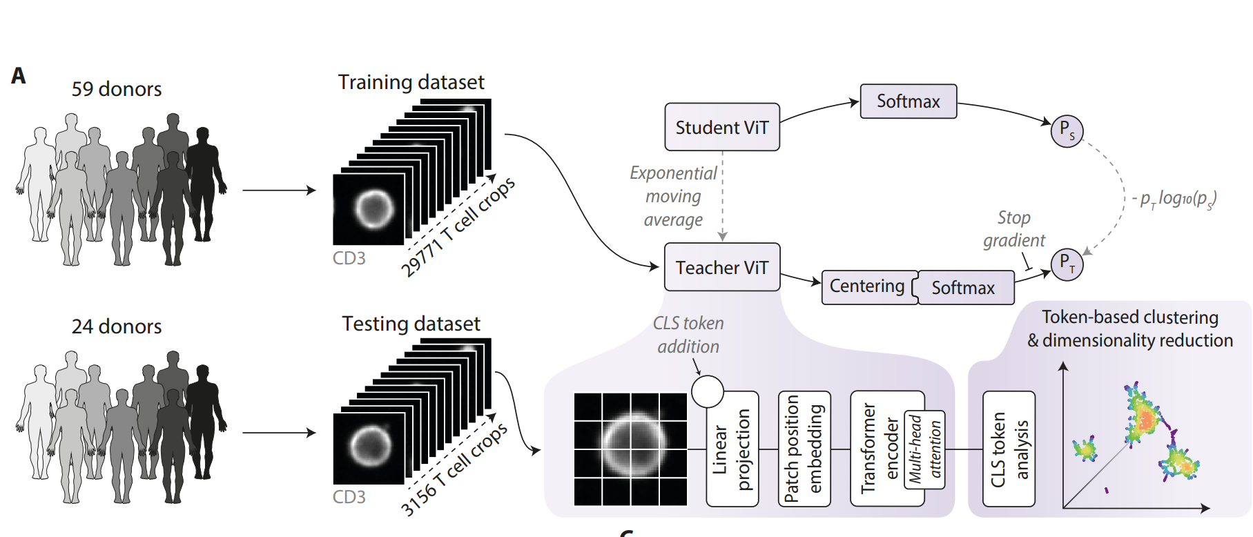 Science_Sfig1A.png