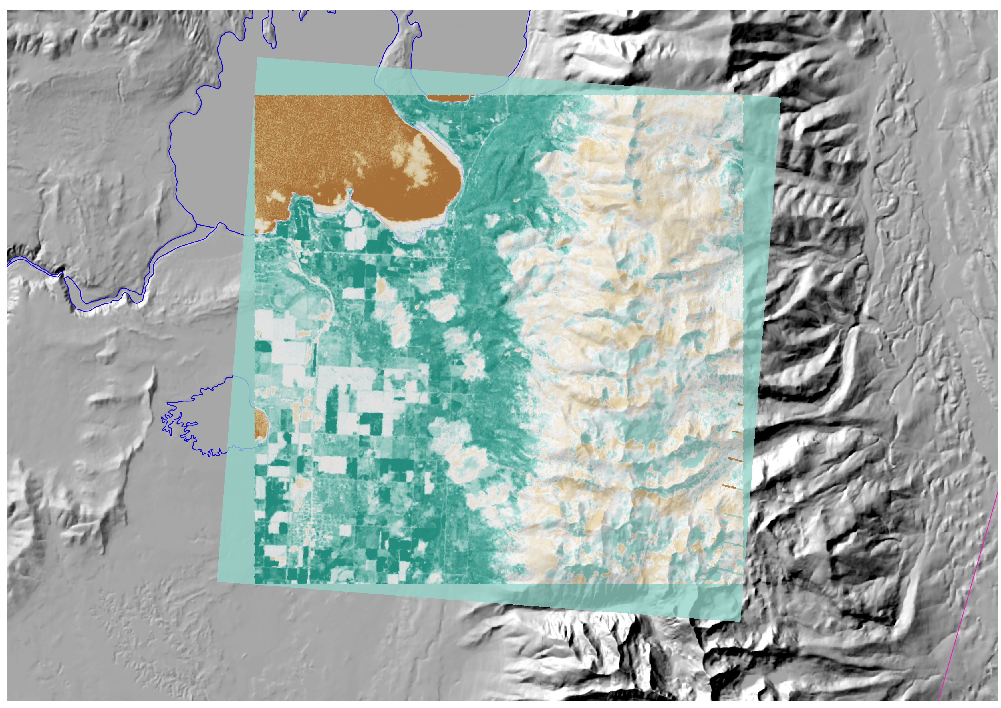 flathead_ndvi.png