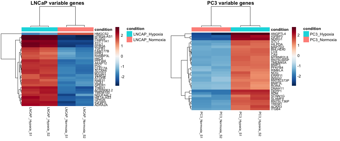 variable-gene-heatmap-separate-samples-1.png